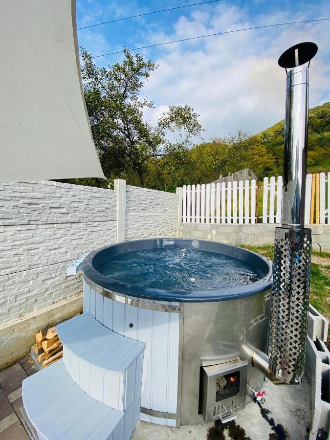 Green Hill Villa Călimăneşti Esterno foto